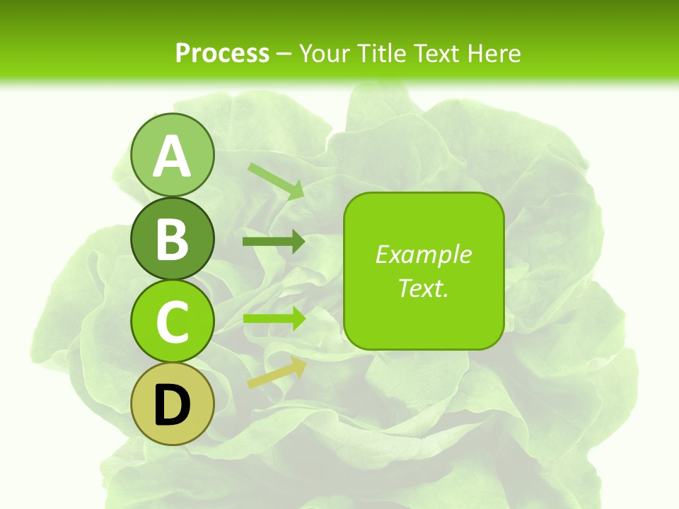 Lettuce PowerPoint Template