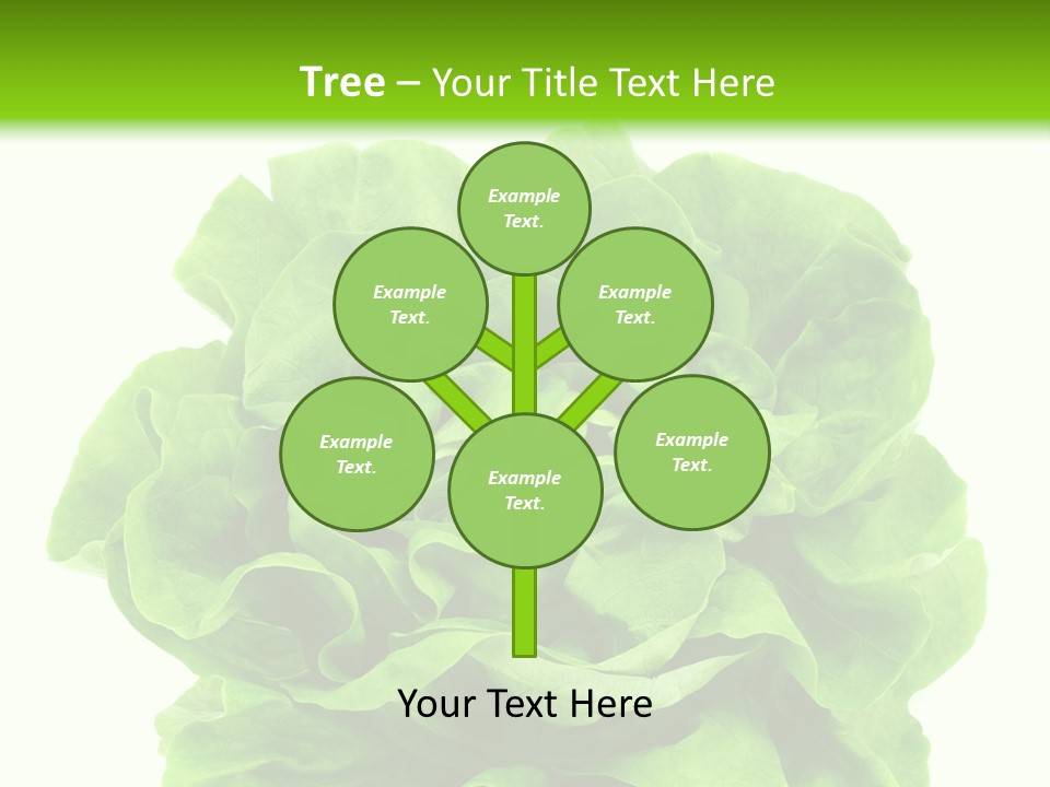 Lettuce PowerPoint Template