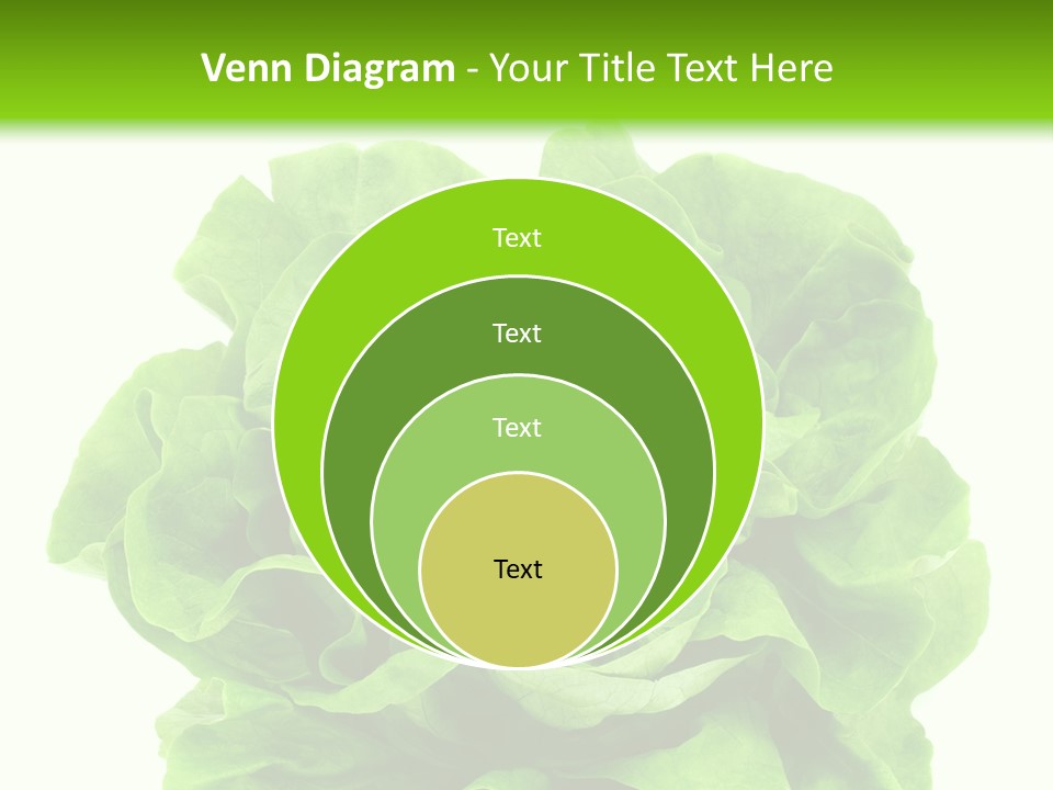 Lettuce PowerPoint Template