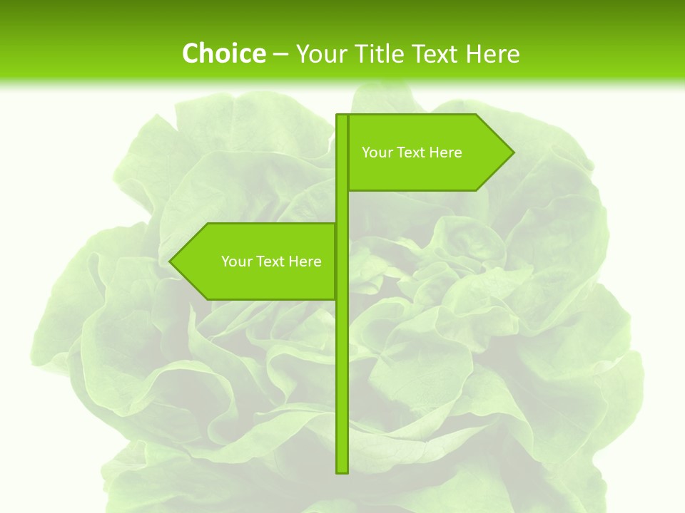 Lettuce PowerPoint Template