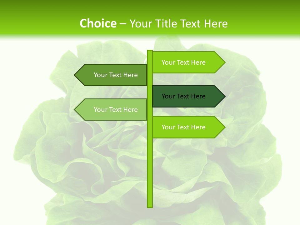 Lettuce PowerPoint Template