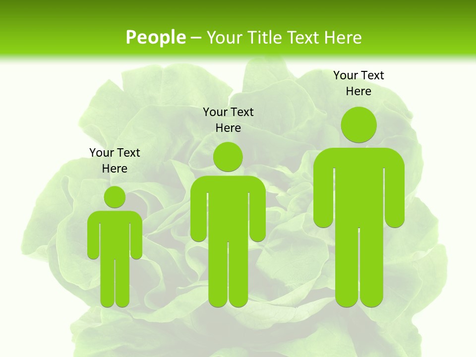Lettuce PowerPoint Template