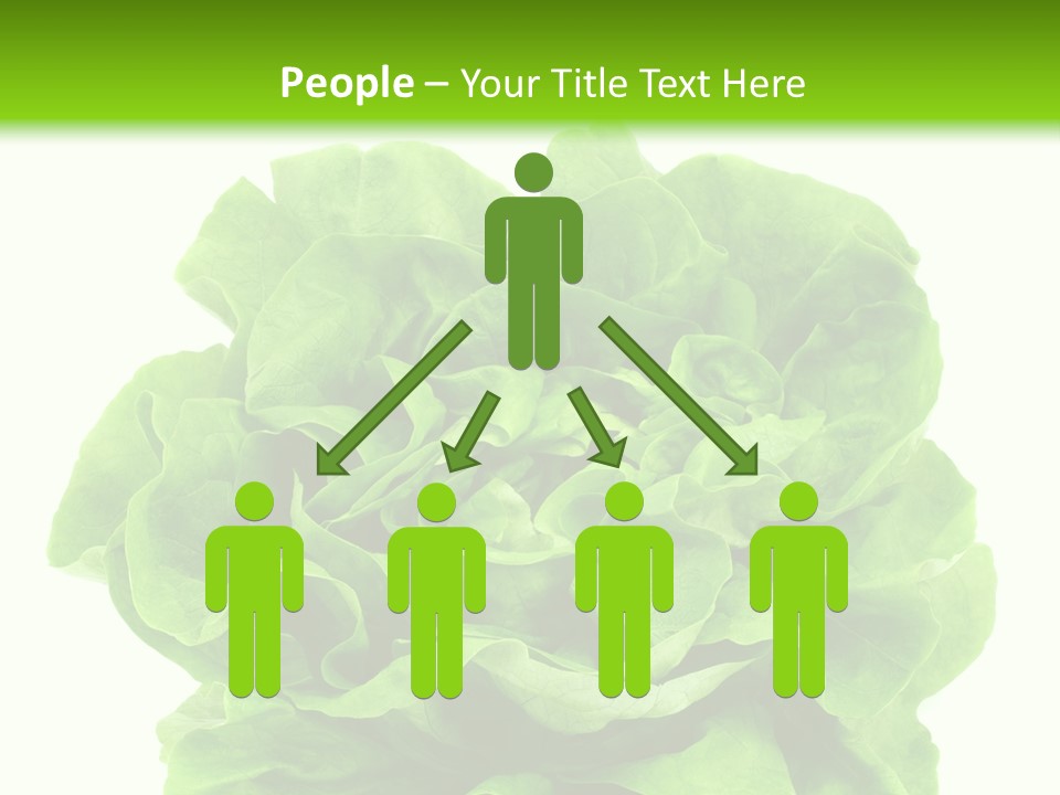 Lettuce PowerPoint Template