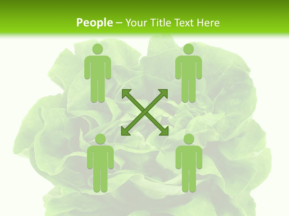 Lettuce PowerPoint Template