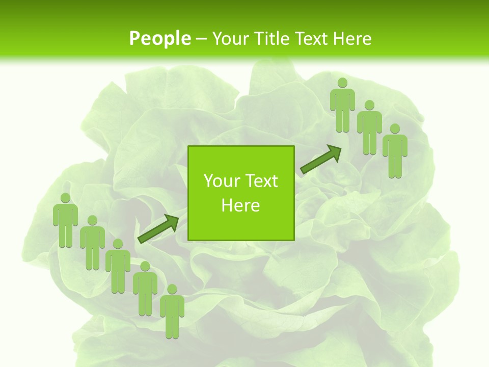 Lettuce PowerPoint Template
