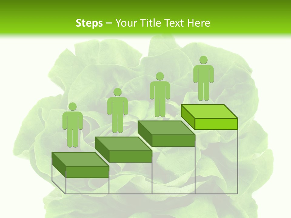 Lettuce PowerPoint Template