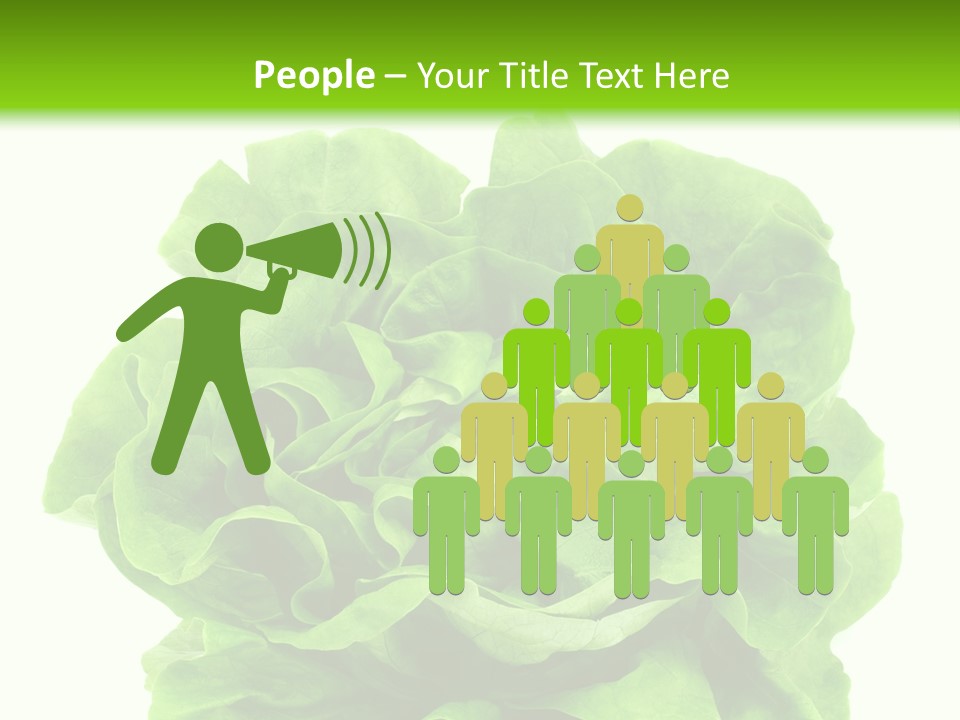 Lettuce PowerPoint Template