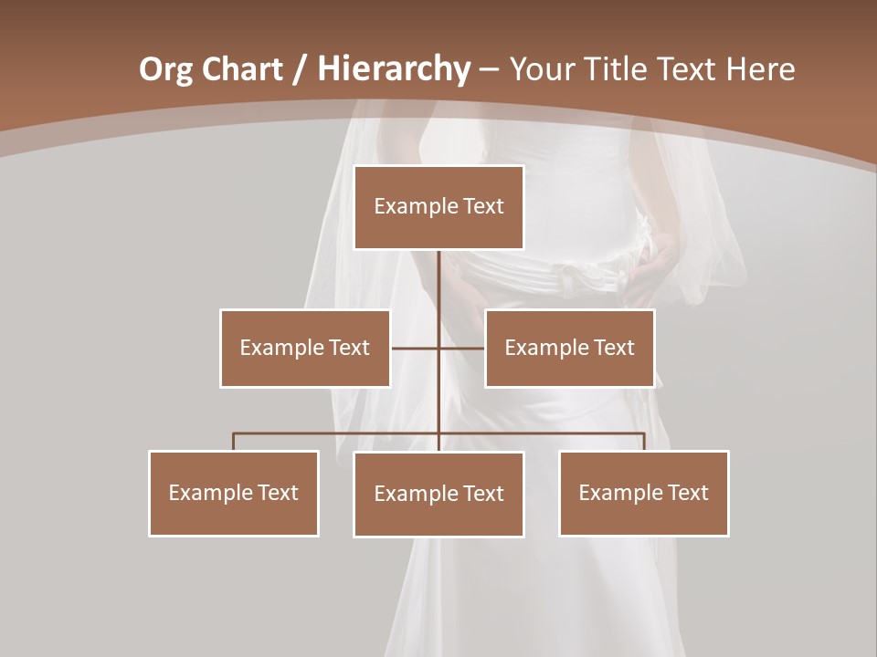 Studio Portrait Of A Young Bride Wearing White Wedding Dress With Veil, Smiling And Looking At Camera. PowerPoint Template