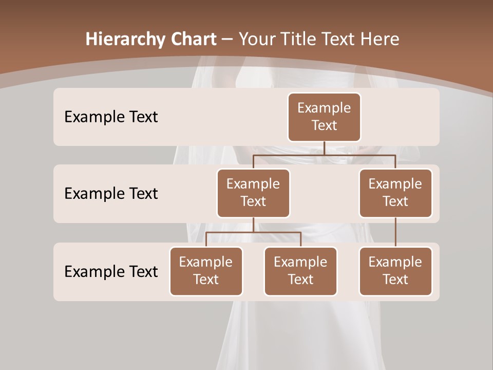 Studio Portrait Of A Young Bride Wearing White Wedding Dress With Veil, Smiling And Looking At Camera. PowerPoint Template