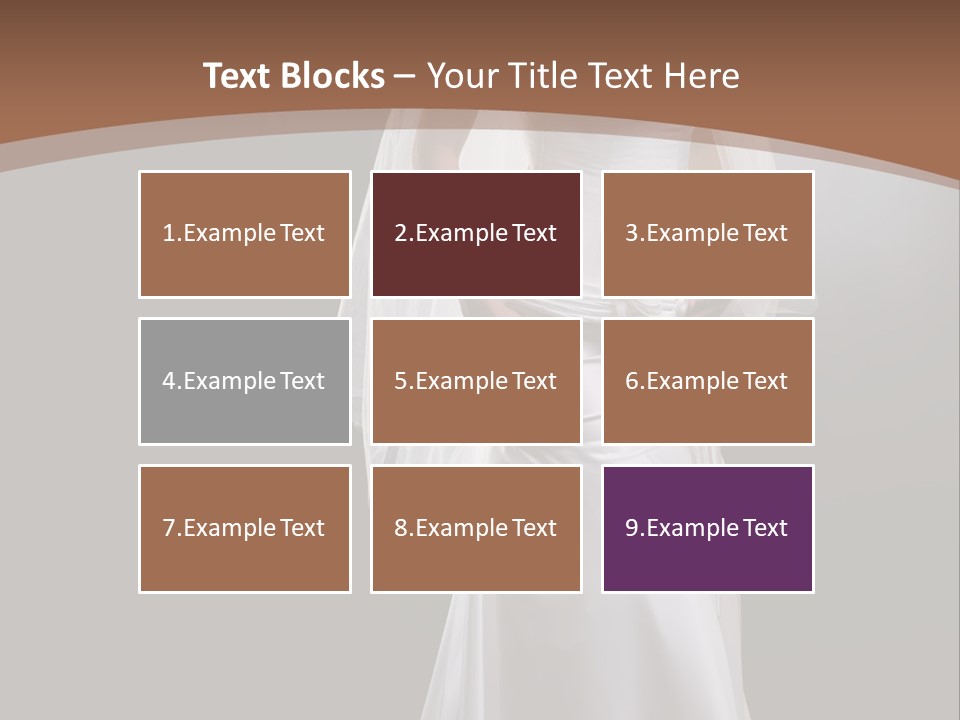 Studio Portrait Of A Young Bride Wearing White Wedding Dress With Veil, Smiling And Looking At Camera. PowerPoint Template