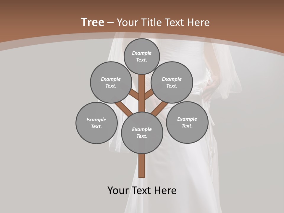 Studio Portrait Of A Young Bride Wearing White Wedding Dress With Veil, Smiling And Looking At Camera. PowerPoint Template