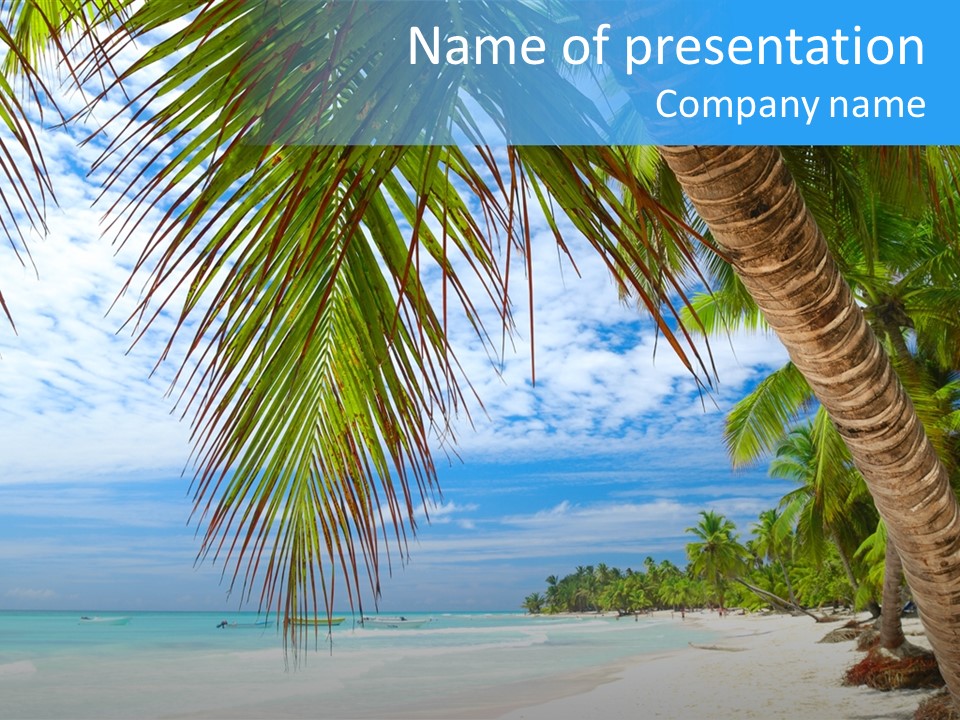 Beautiful Caribbean Beach In Dominican Republic PowerPoint Template