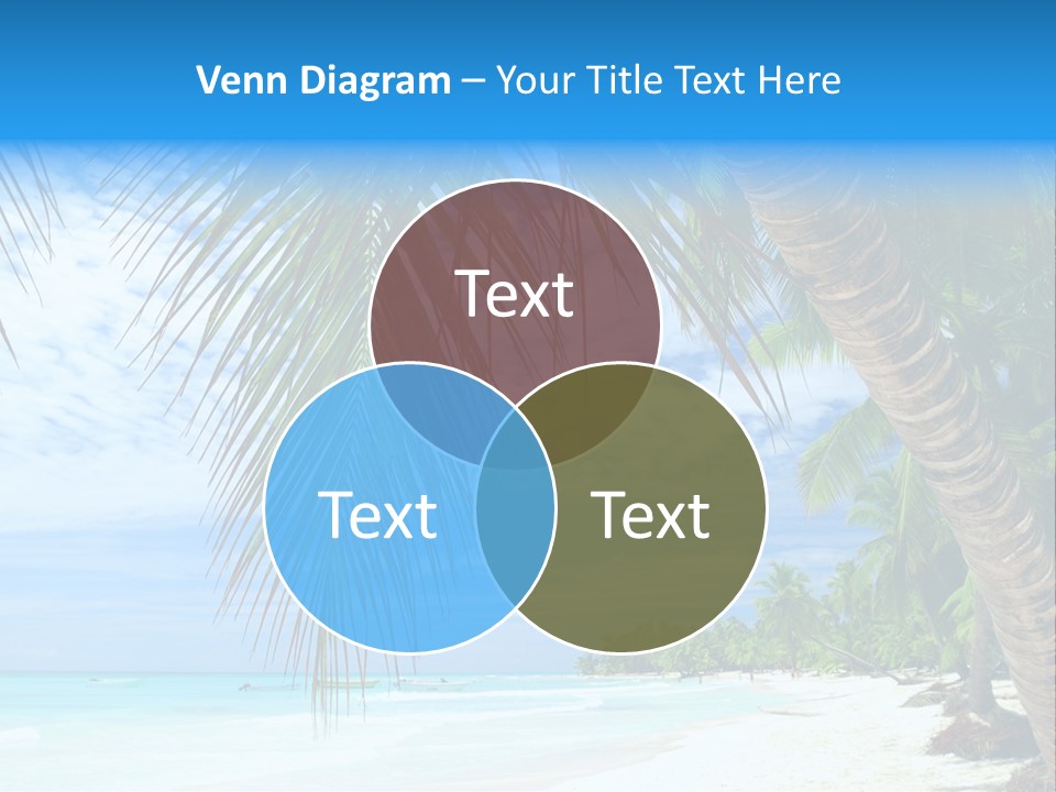 Beautiful Caribbean Beach In Dominican Republic PowerPoint Template