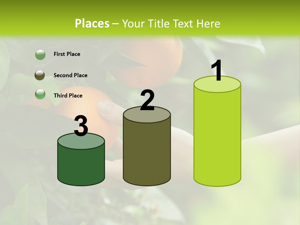 Magnolia Flowers PowerPoint Template