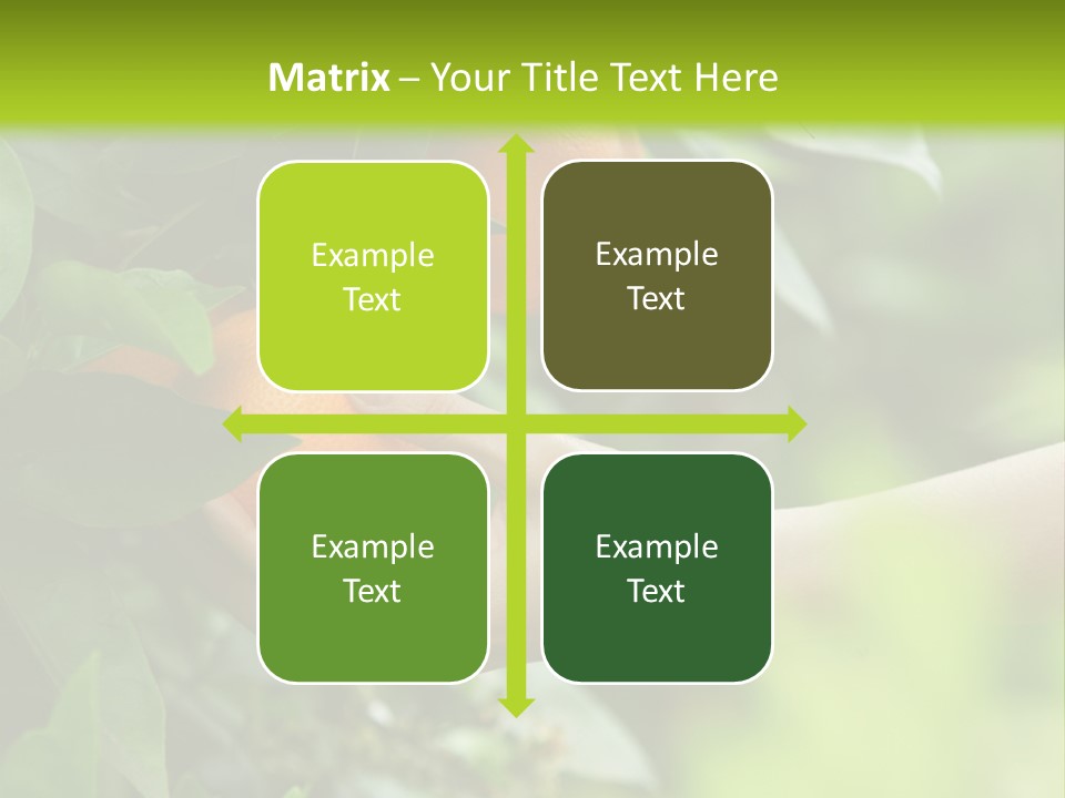 Magnolia Flowers PowerPoint Template