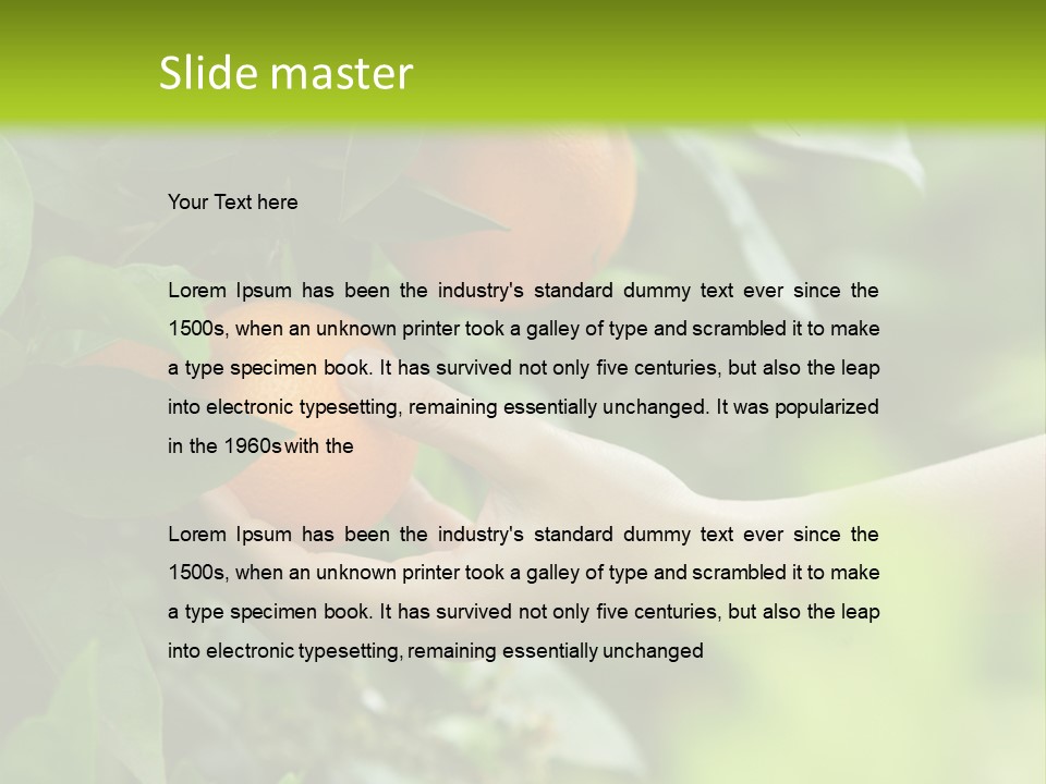 Magnolia Flowers PowerPoint Template