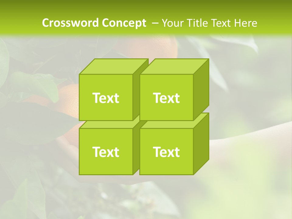 Magnolia Flowers PowerPoint Template