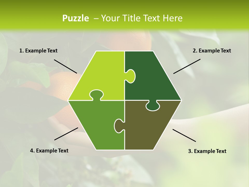 Magnolia Flowers PowerPoint Template