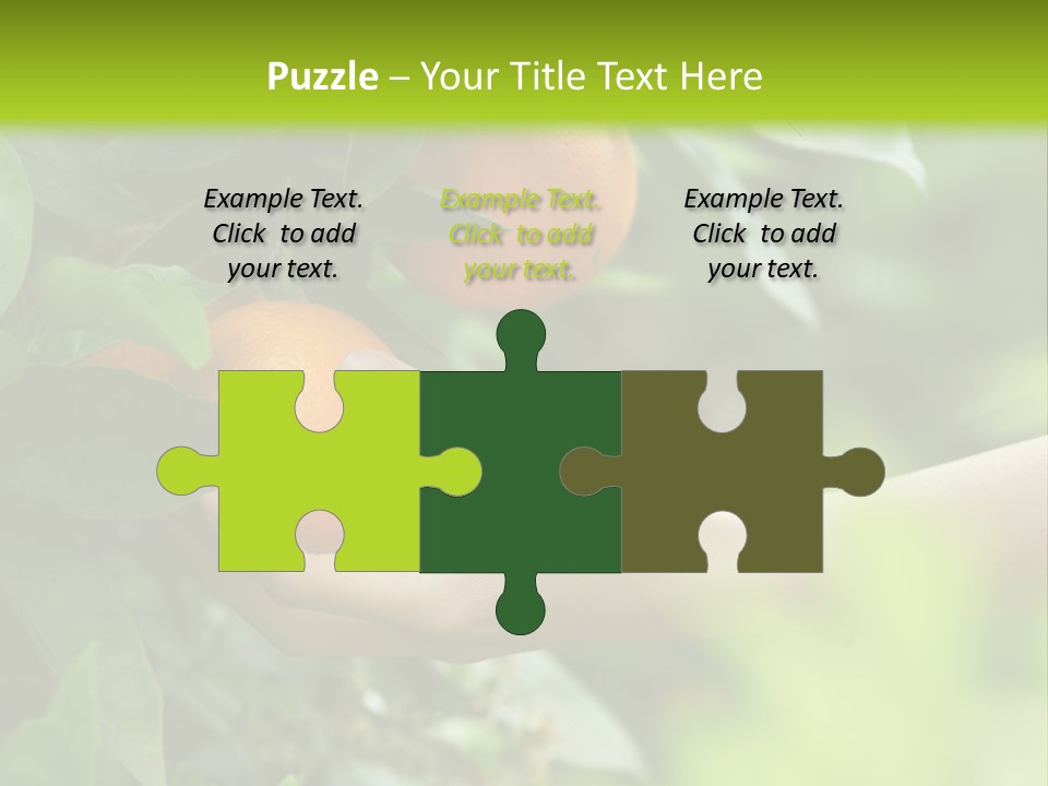 Magnolia Flowers PowerPoint Template