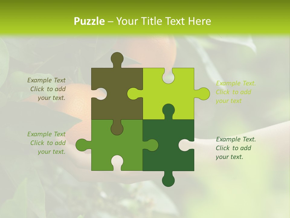 Magnolia Flowers PowerPoint Template