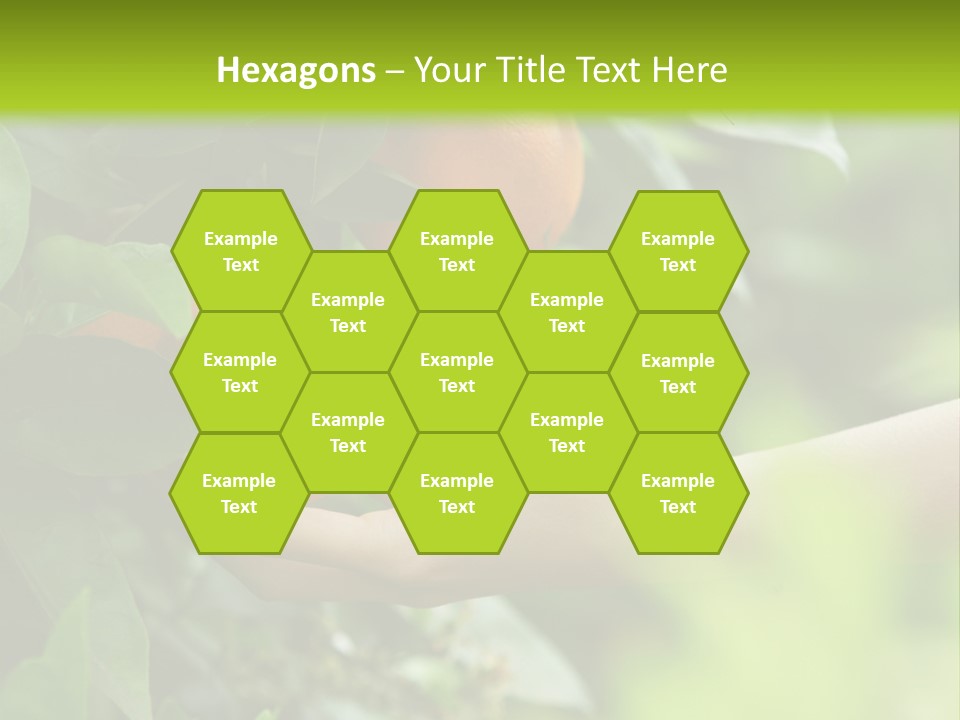 Magnolia Flowers PowerPoint Template