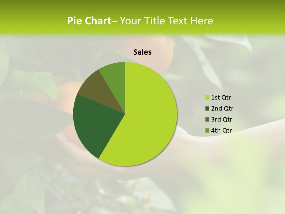 Magnolia Flowers PowerPoint Template