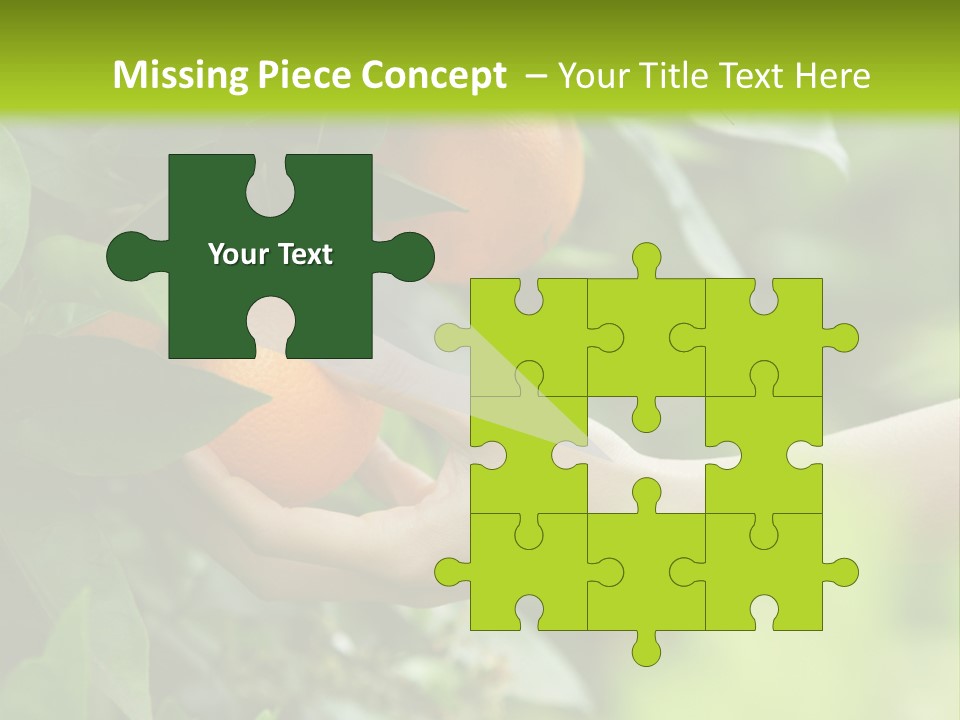 Magnolia Flowers PowerPoint Template