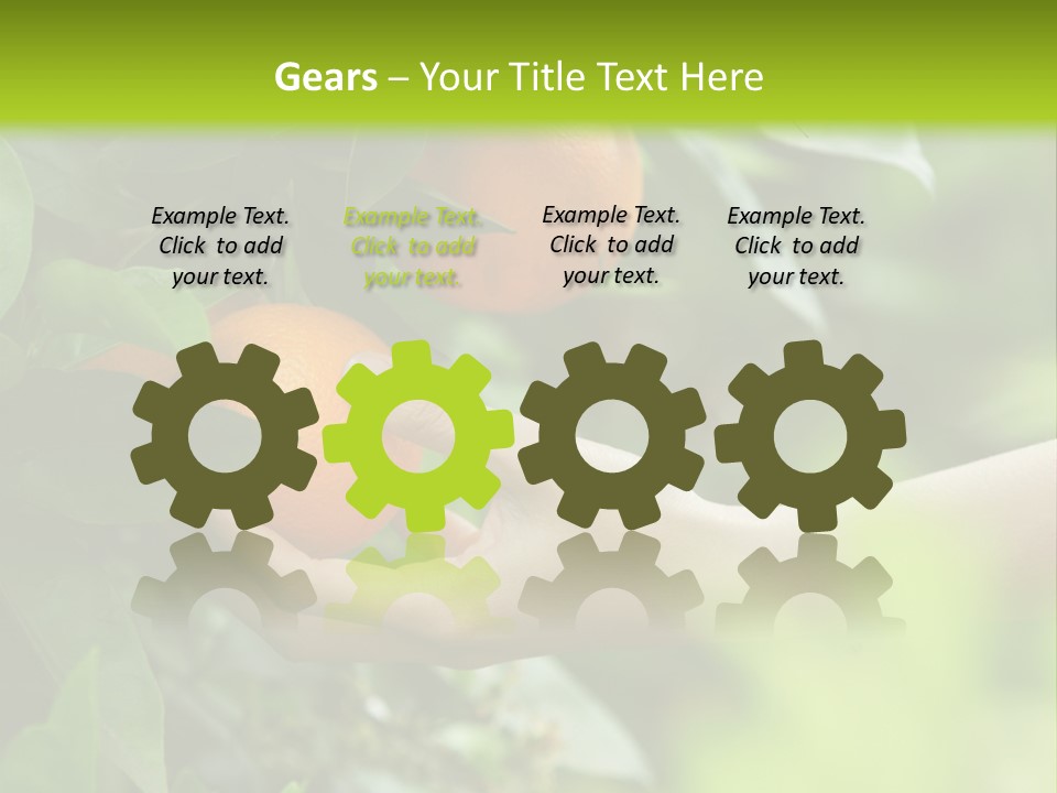 Magnolia Flowers PowerPoint Template