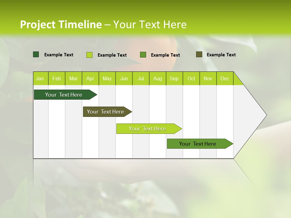 Magnolia Flowers PowerPoint Template
