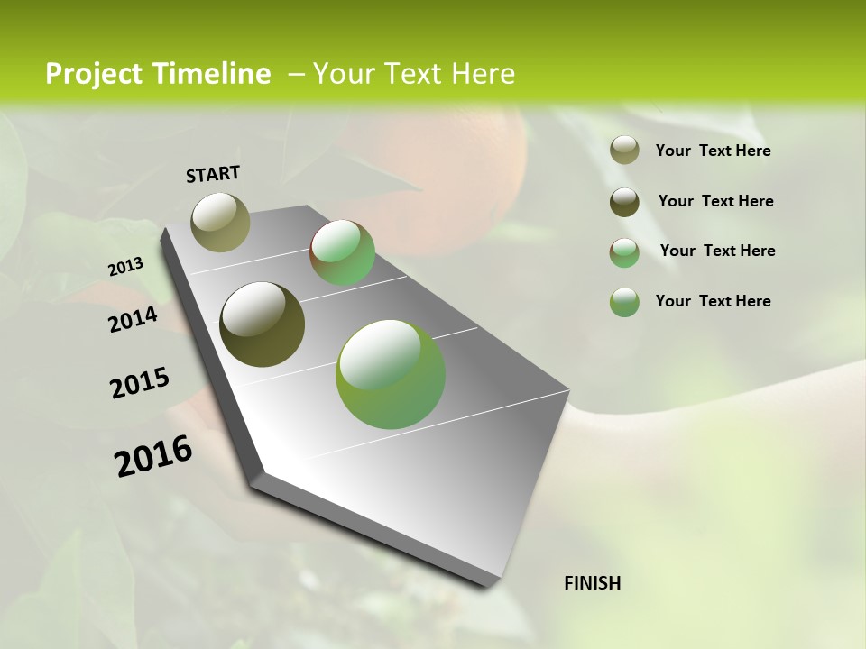 Magnolia Flowers PowerPoint Template