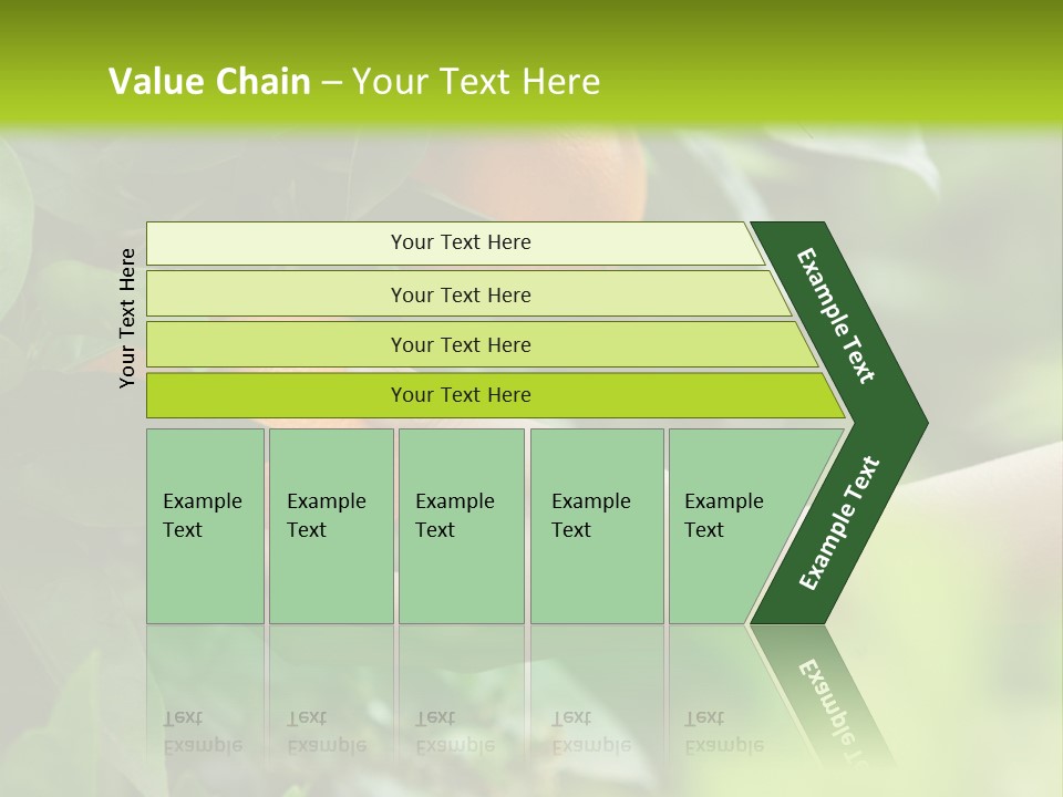 Magnolia Flowers PowerPoint Template