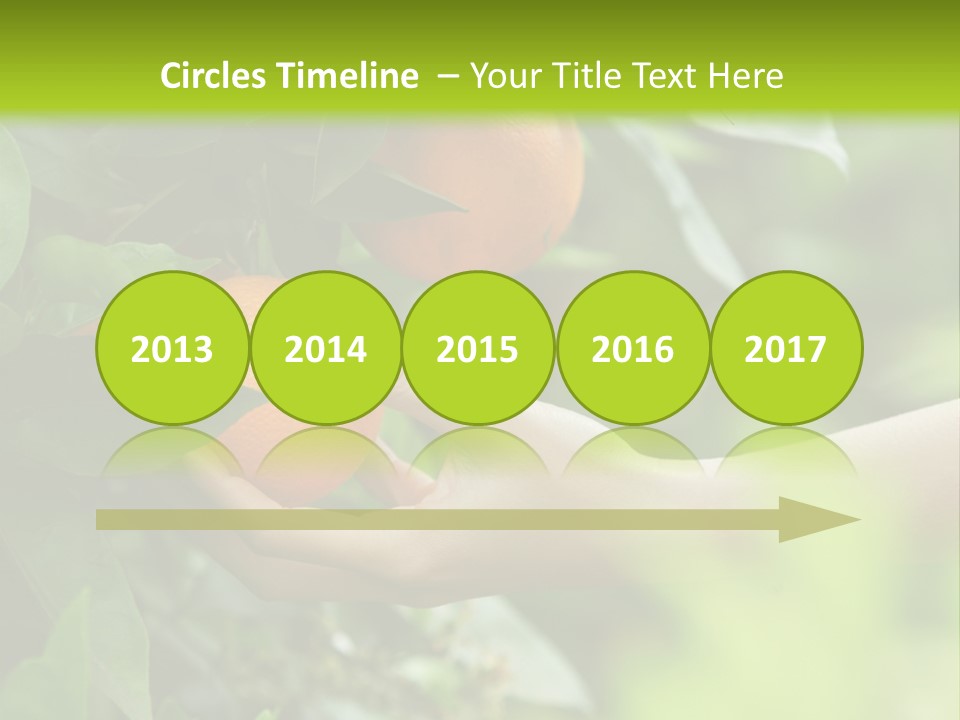 Magnolia Flowers PowerPoint Template