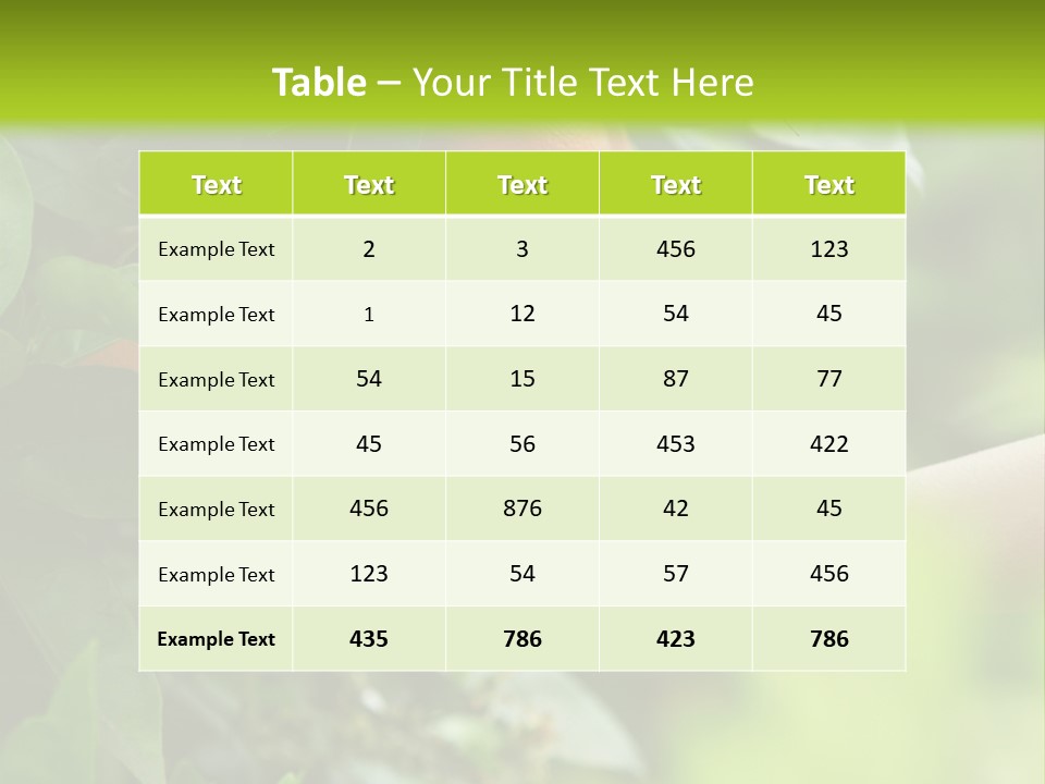Magnolia Flowers PowerPoint Template
