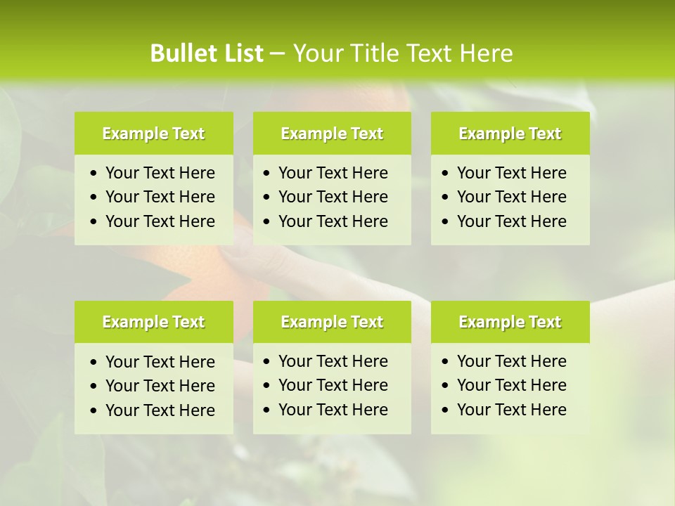 Magnolia Flowers PowerPoint Template