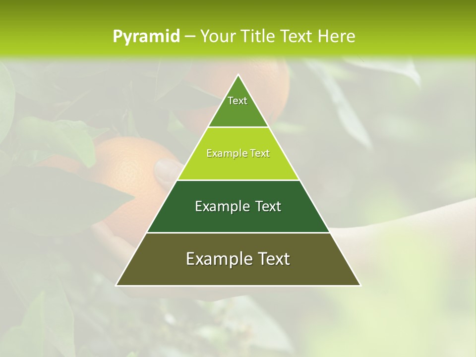 Magnolia Flowers PowerPoint Template