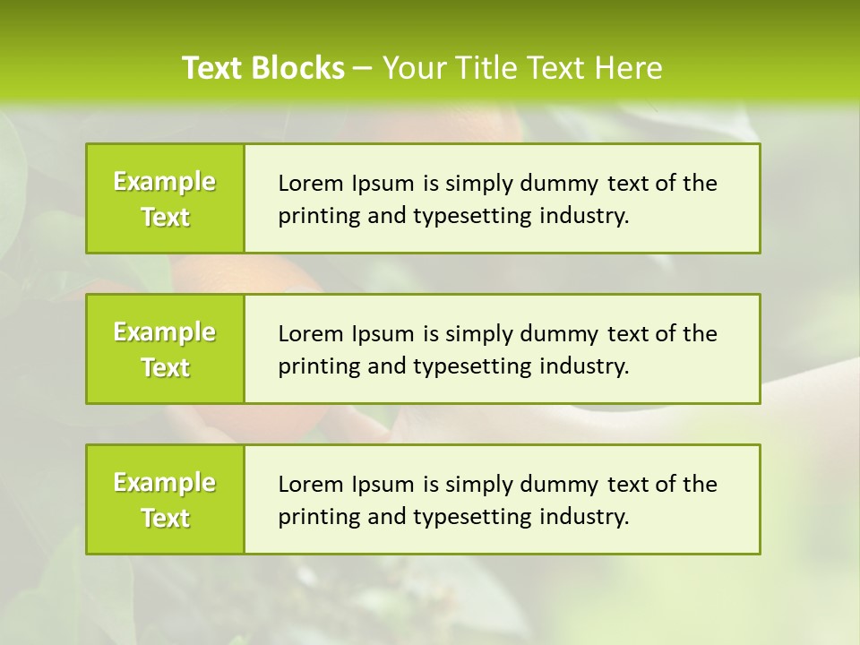 Magnolia Flowers PowerPoint Template