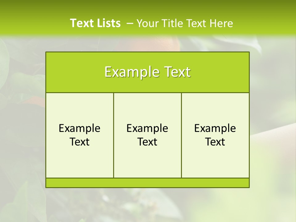 Magnolia Flowers PowerPoint Template