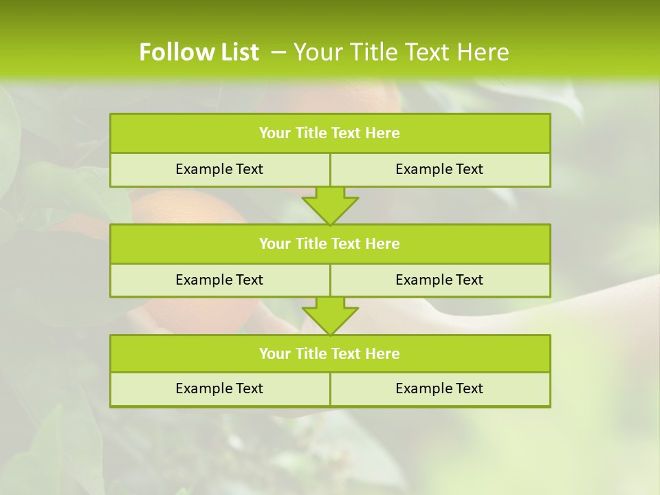 Magnolia Flowers PowerPoint Template