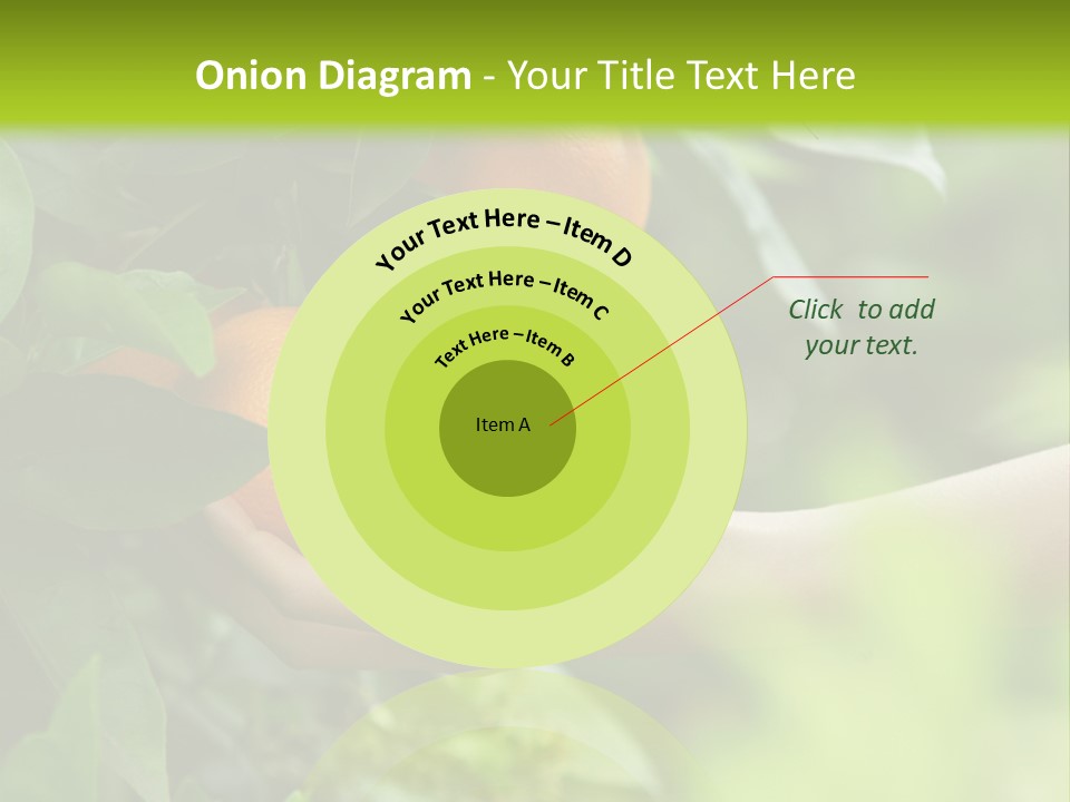 Magnolia Flowers PowerPoint Template