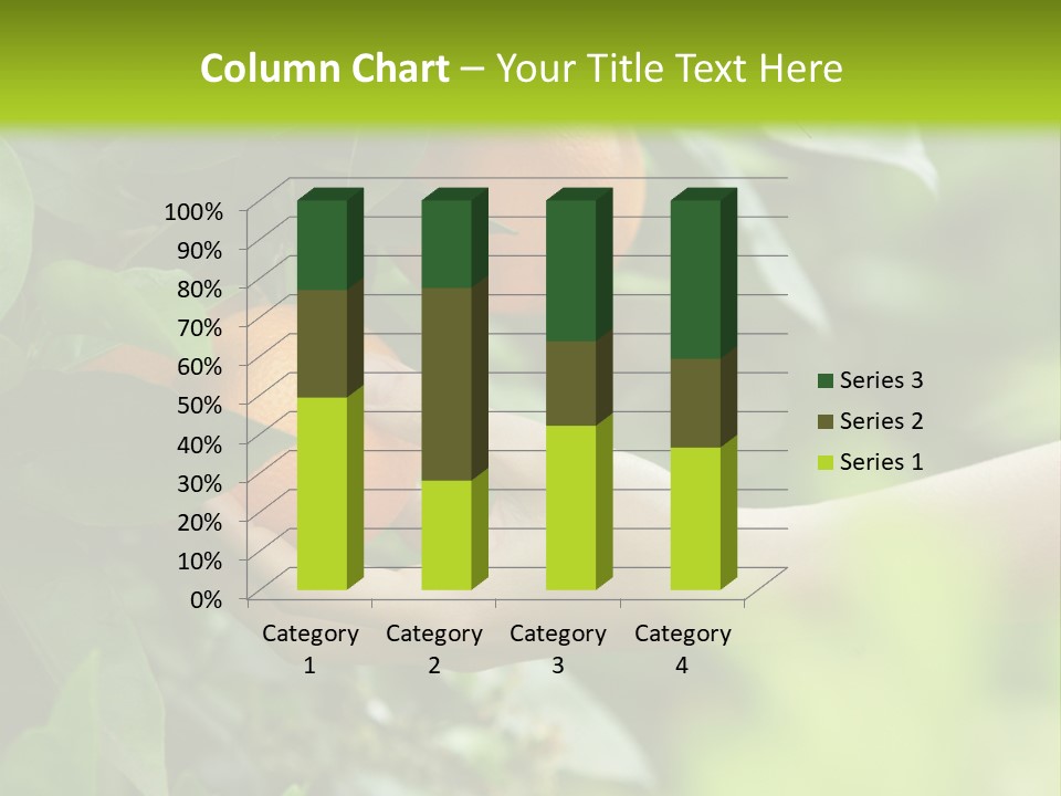 Magnolia Flowers PowerPoint Template