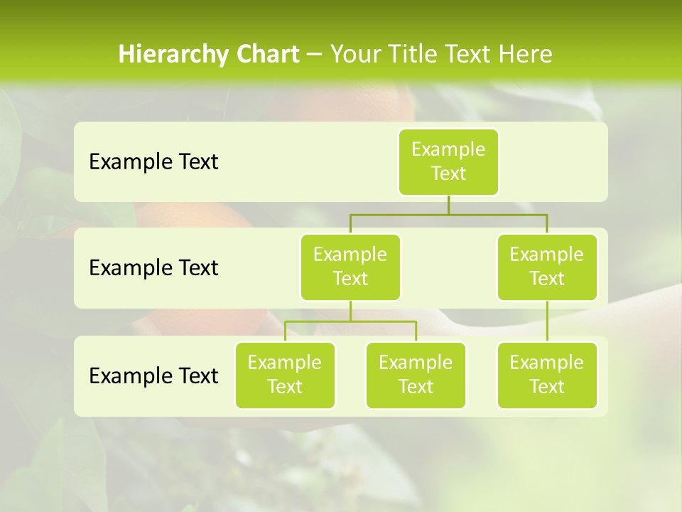 Magnolia Flowers PowerPoint Template