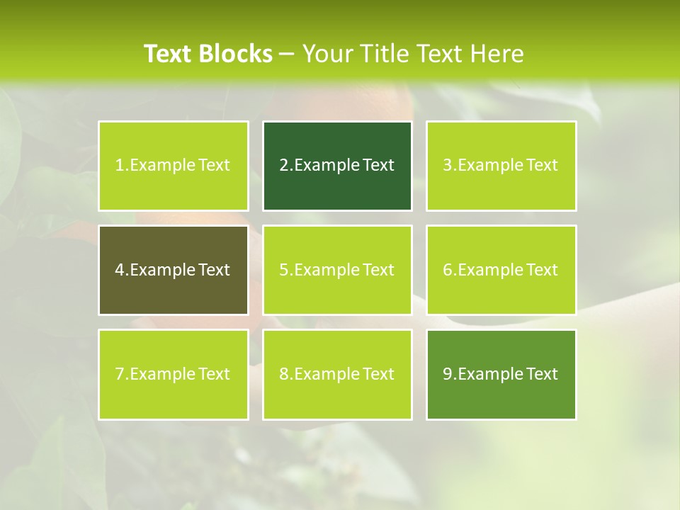 Magnolia Flowers PowerPoint Template