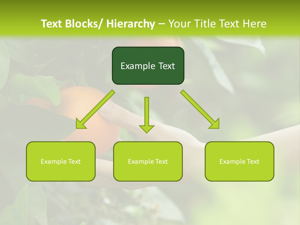 Magnolia Flowers PowerPoint Template