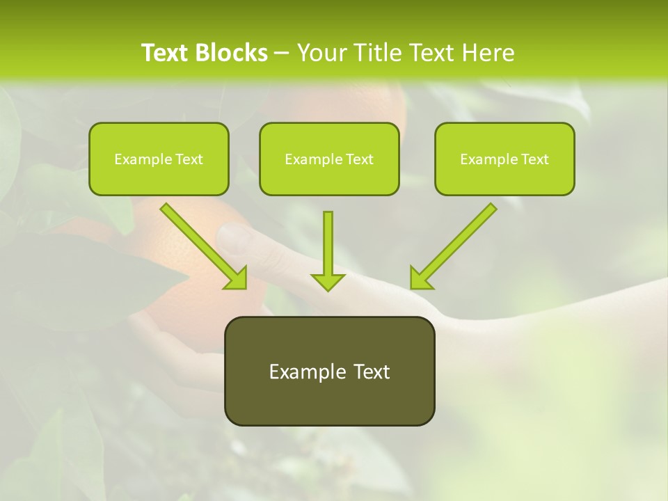 Magnolia Flowers PowerPoint Template