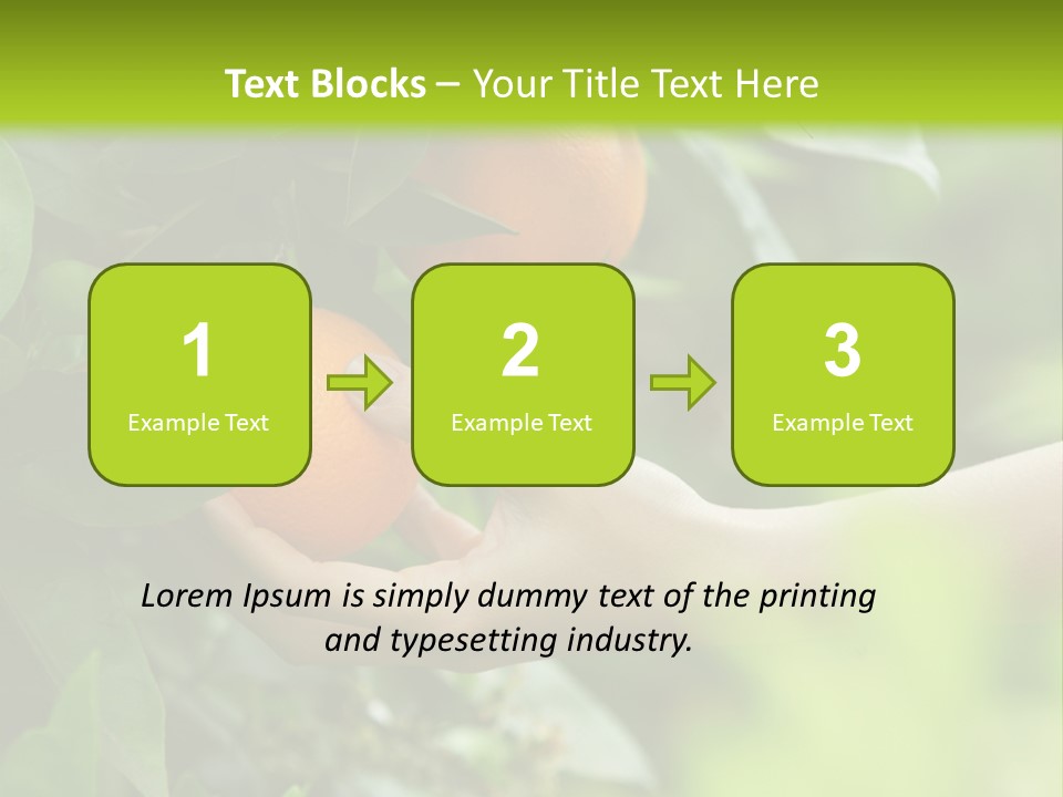 Magnolia Flowers PowerPoint Template