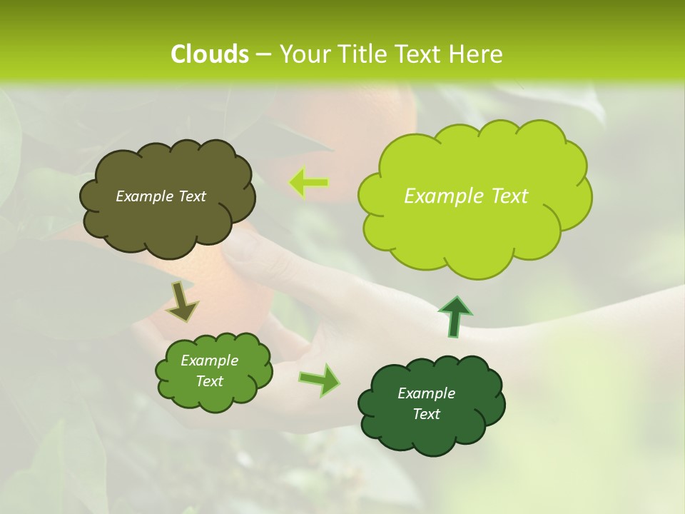 Magnolia Flowers PowerPoint Template
