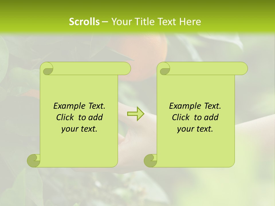 Magnolia Flowers PowerPoint Template