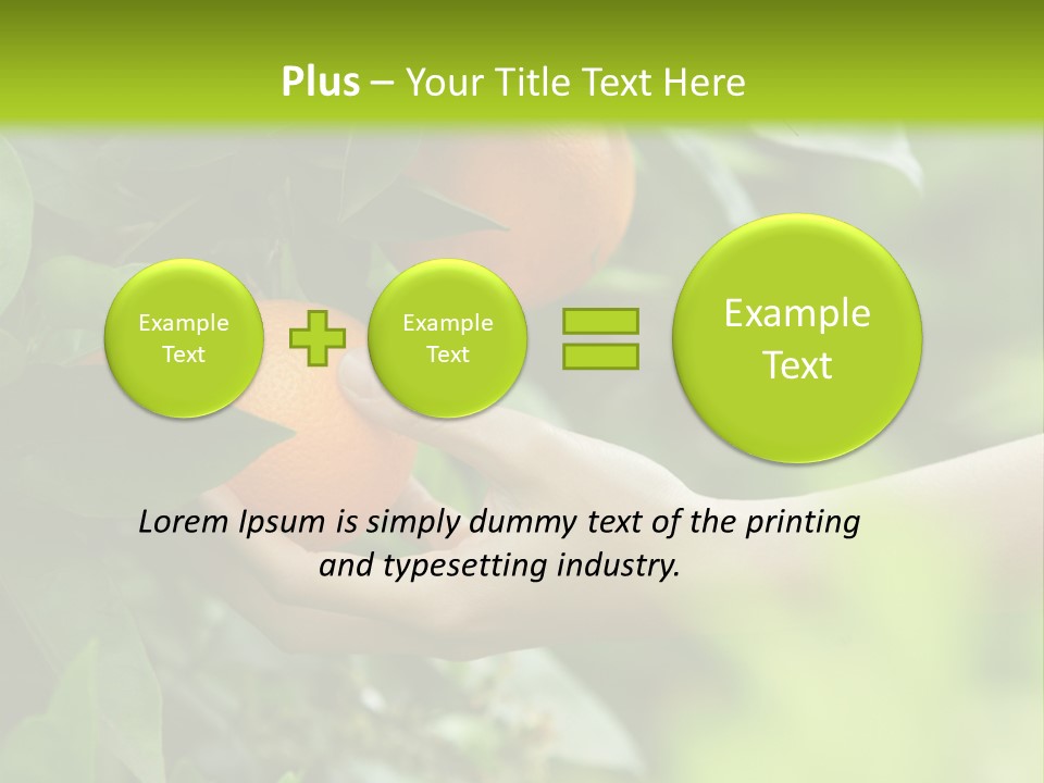 Magnolia Flowers PowerPoint Template