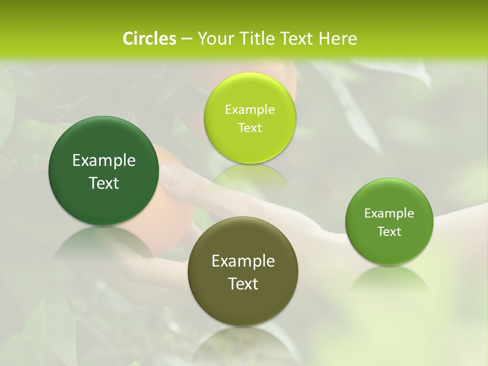 Magnolia Flowers PowerPoint Template