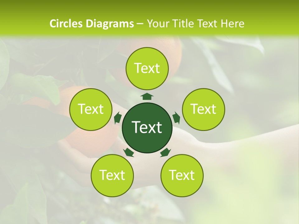 Magnolia Flowers PowerPoint Template